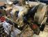 Motor komplett, 3,2 Carrera Motronic, 262 PS/ 306 Nm 